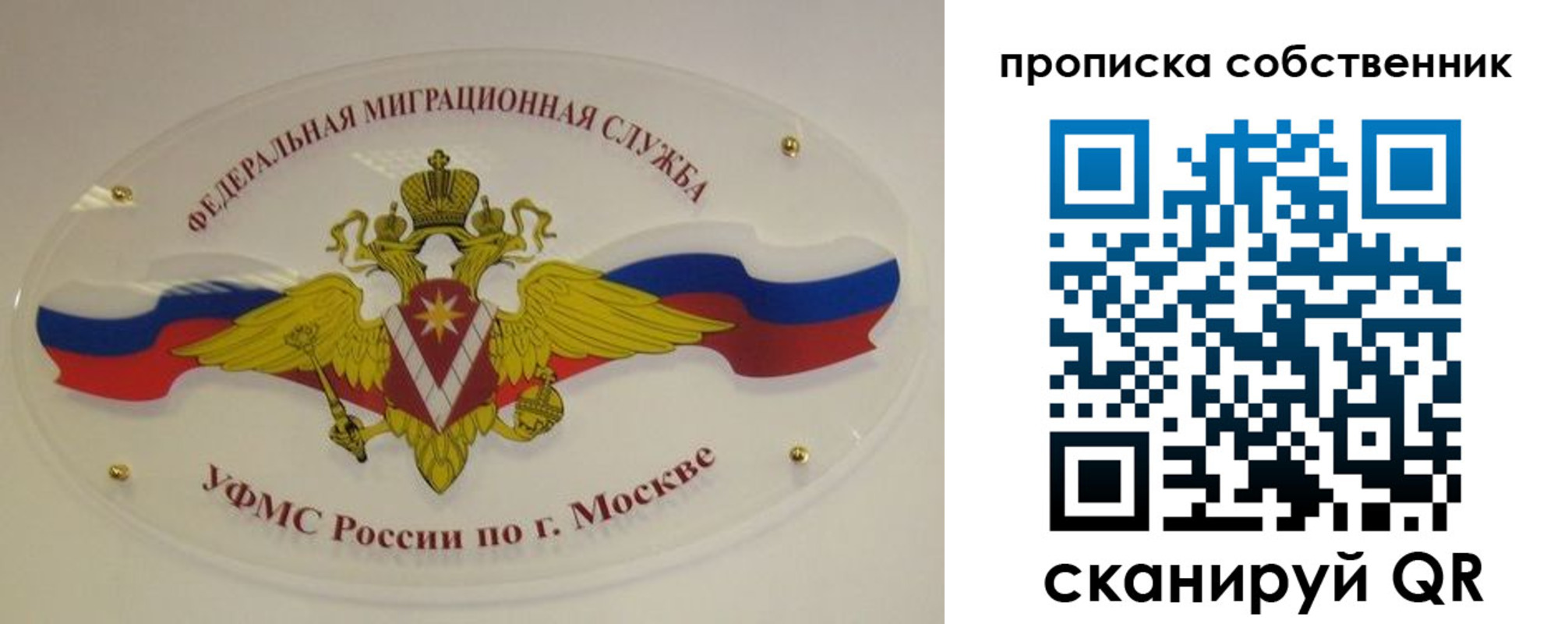 прописка 2025 в Тамбове